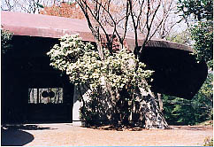 ̑wZ~i[EnEXu(2002.3.28)