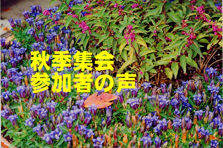 HGWQ҂̐iJbgF_Aɂāj